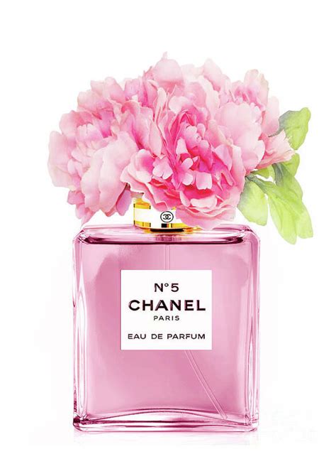 chanel 5 rosa|chanel 5 flowers.